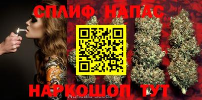 СК Обнинск