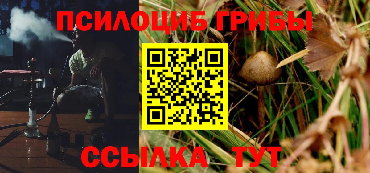 Галлюциногенные грибы ЛСД Солнечногорск